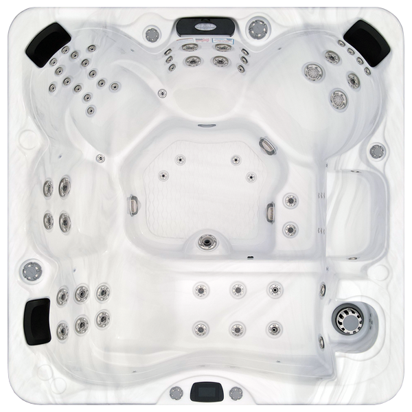 Avalon-X EC-867LX hot tubs for sale in South Bend