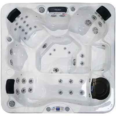 Avalon EC-849L hot tubs for sale in South Bend
