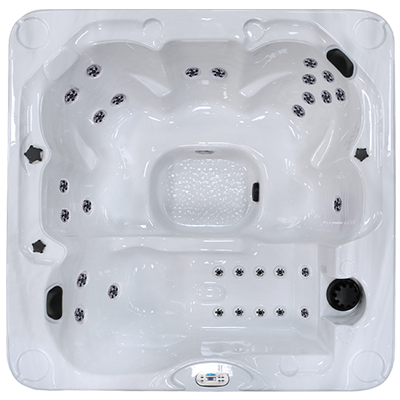 Pacifica Plus PPZ-730L hot tubs for sale in South Bend