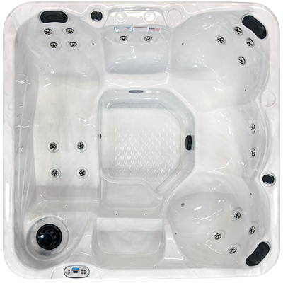 Hawaiian PZ-620L hot tubs for sale in South Bend